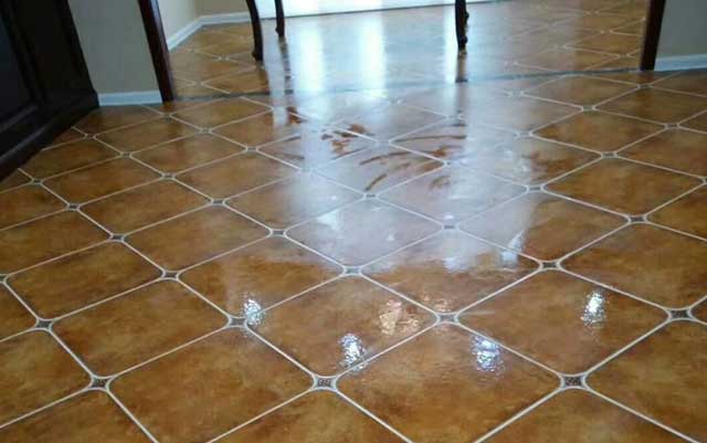 5555554183032.jpg 5555554183032.jpg