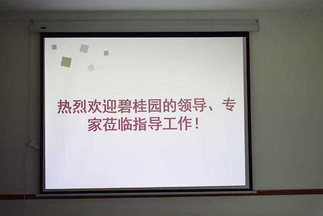 碧桂园领导、专家莅临德国CUALI砖丽指导工作 碧桂园领导、专家莅临德国CUALI砖丽指导工作