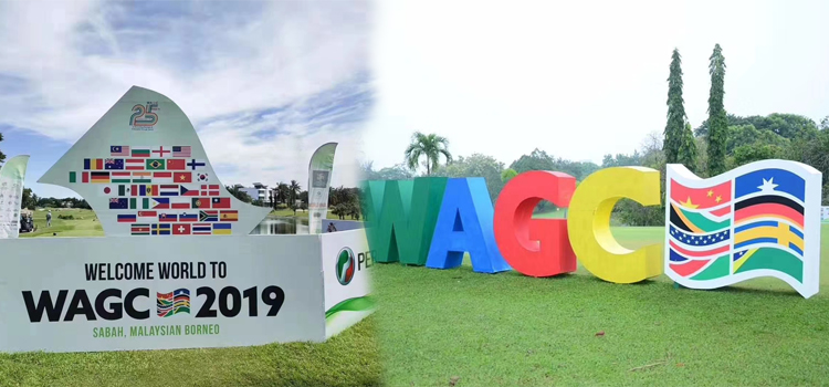 2019年WAGC世界锦标赛总决赛 2019年WAGC世界锦标赛总决赛