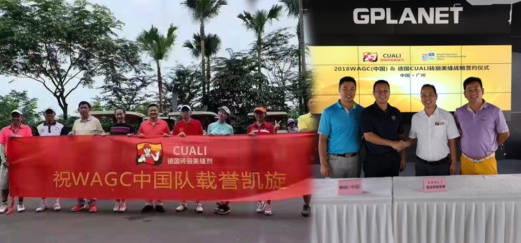 2019年WAGC世界锦标赛总决赛 2019年WAGC世界锦标赛总决赛